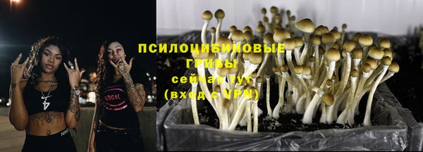 героин Сатка