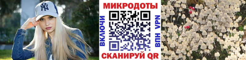 Галлюциногенные грибы прущие грибы  хочу наркоту  Ивдель 